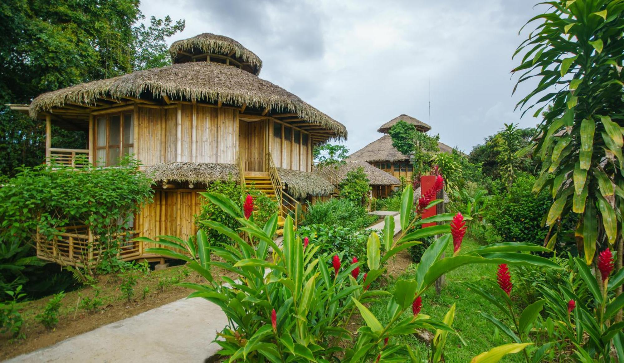 La Selva Amazon Ecolodge&Spa Providencia Esterno foto