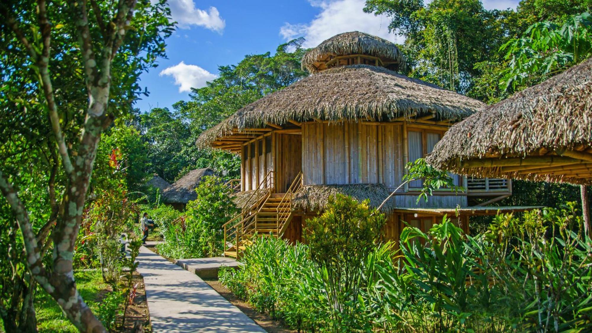 La Selva Amazon Ecolodge&Spa Providencia Esterno foto