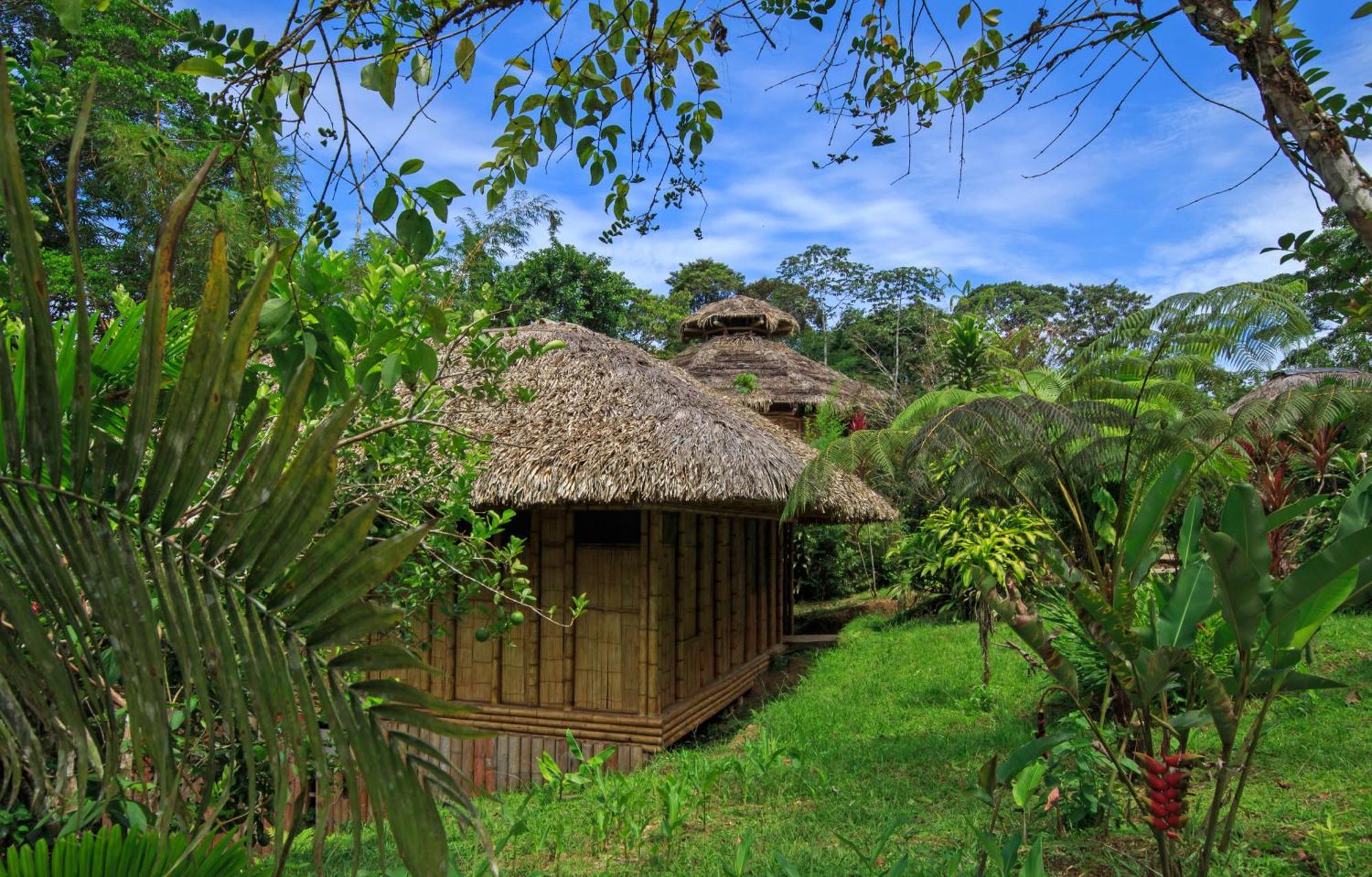 La Selva Amazon Ecolodge&Spa Providencia Esterno foto