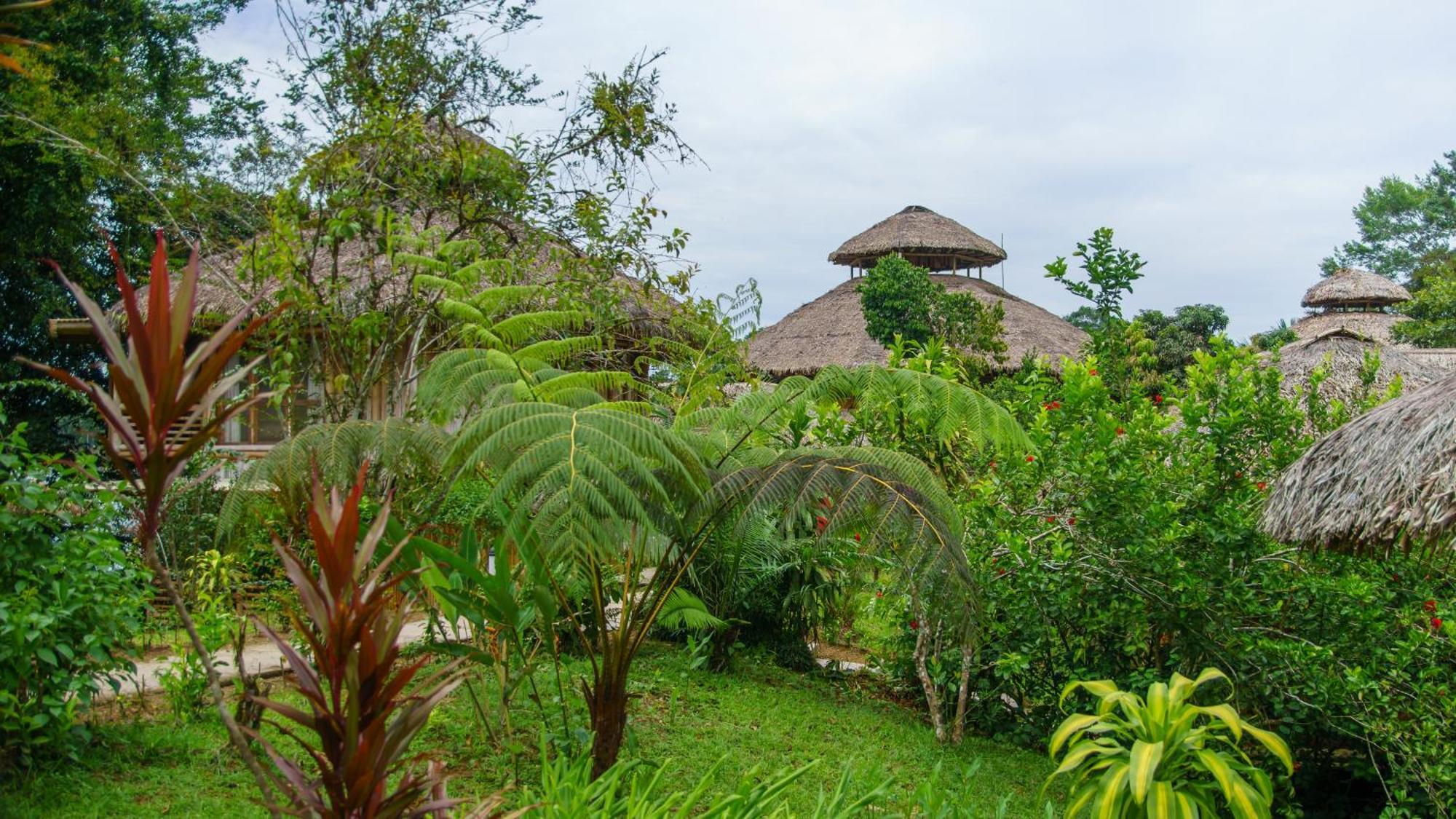 La Selva Amazon Ecolodge&Spa Providencia Esterno foto