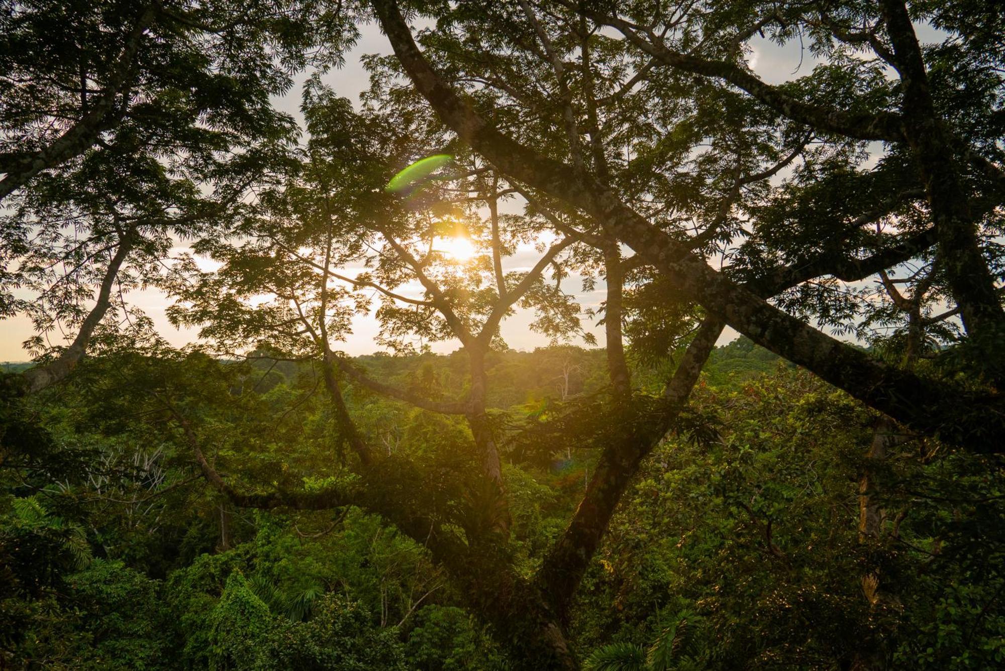 La Selva Amazon Ecolodge&Spa Providencia Esterno foto