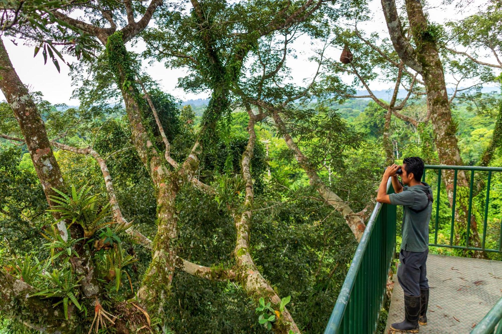 La Selva Amazon Ecolodge&Spa Providencia Esterno foto